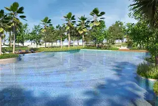 Mini Olympic Pool