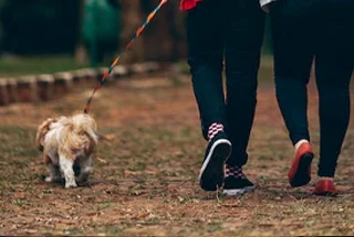 Pets Park