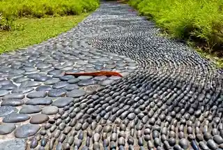 Reflexology Pathway